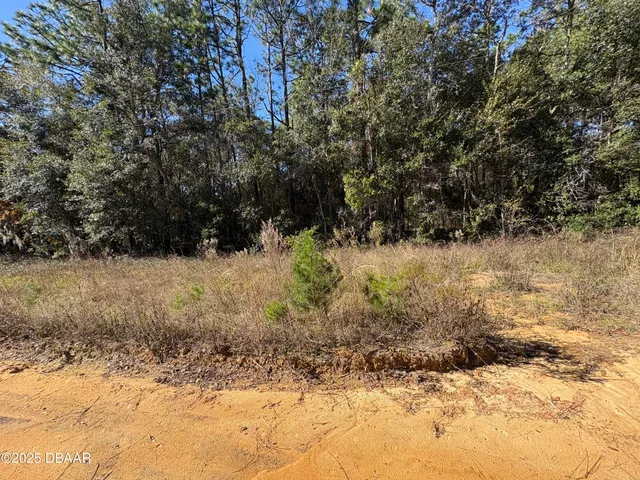 $6,400 | 431 Brett Avenue, Interlachen, FL 32148