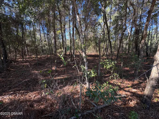 $6,400 | 431 Brett Avenue, Interlachen, FL 32148