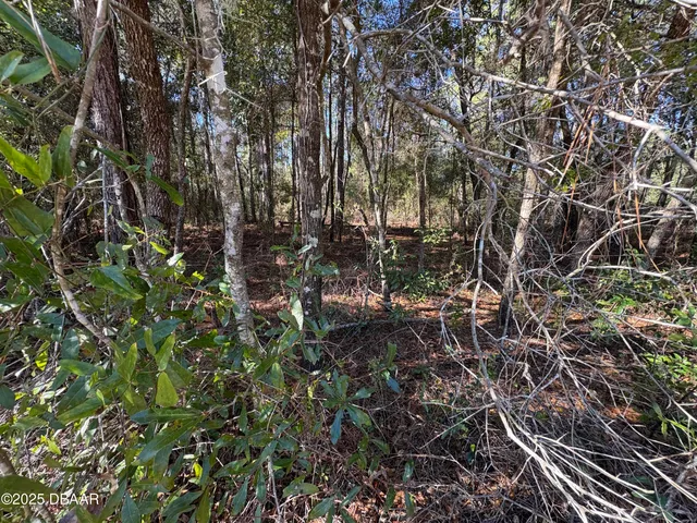 $6,400 | 431 Brett Avenue, Interlachen, FL 32148