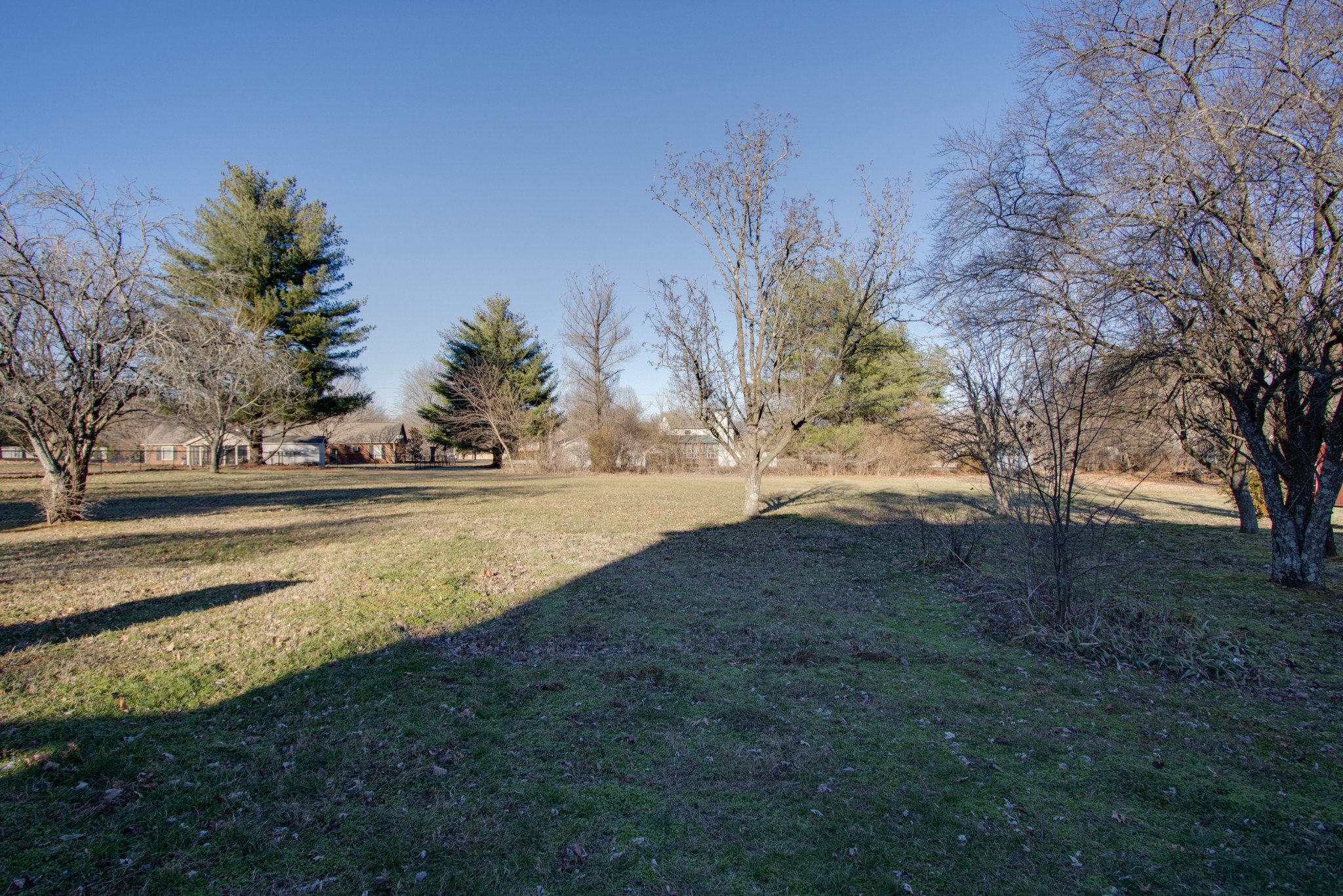 2005 Hunters Place Mount Juliet, TN 37122 - Photo 33 of 36 a view of yard with green space