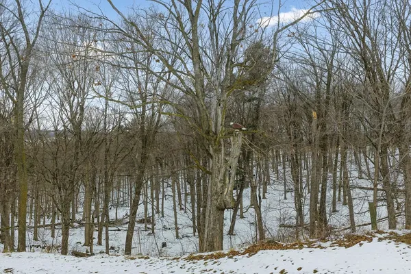 $575,000 | S175 Lavalle Road, La Valle, WI 53941