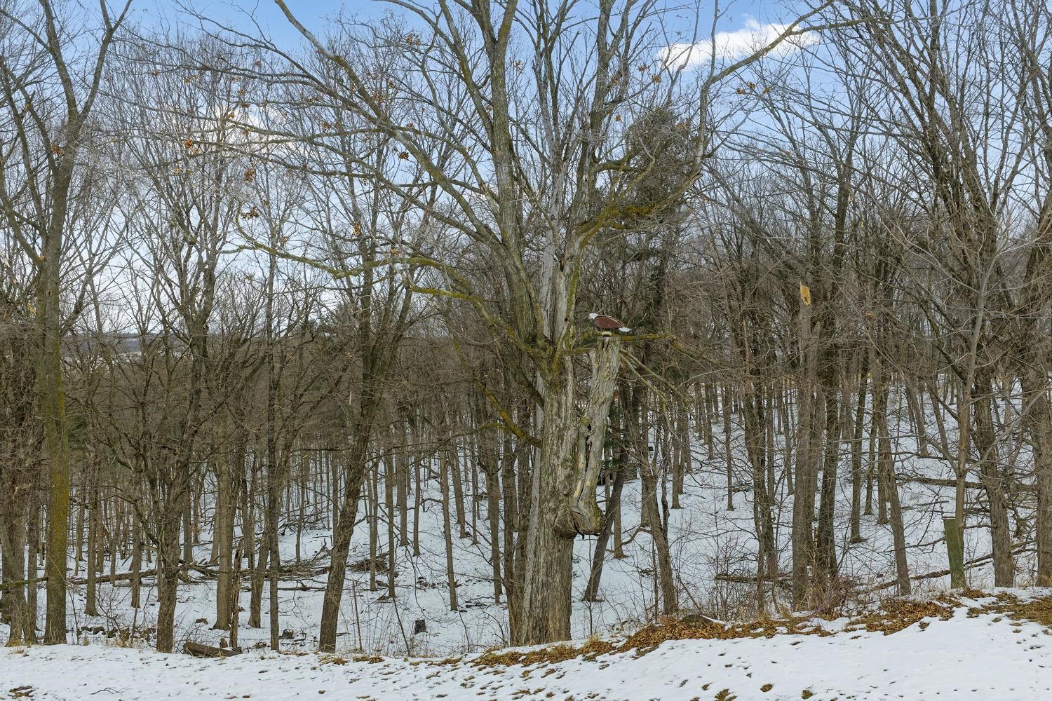 S175 Lavalle Road La Valle, WI 53941 - Photo 19 of 30