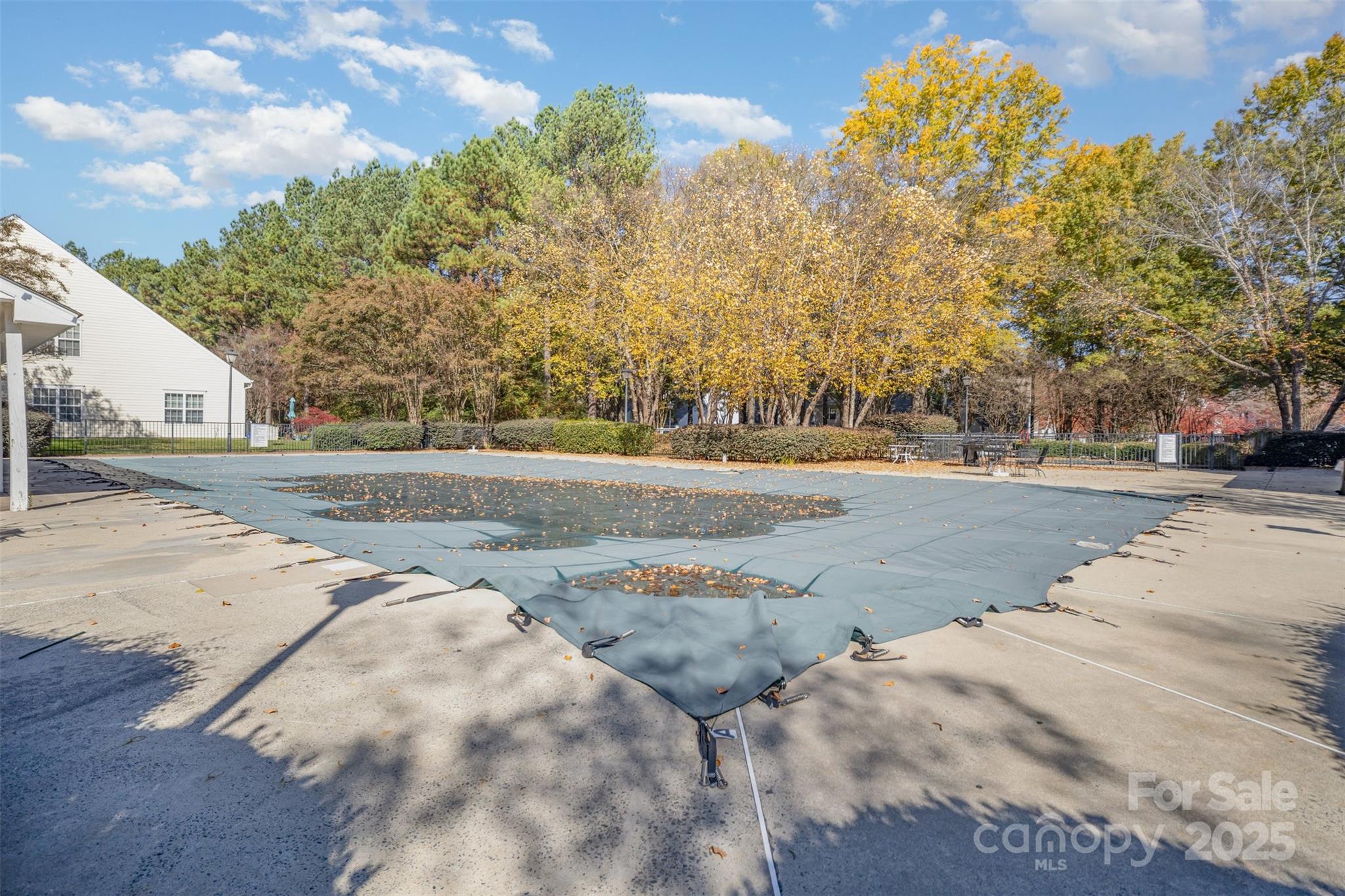 8230 Rudolph Road Charlotte, NC 28216 - Photo 34 of 38 a view of road with large trees