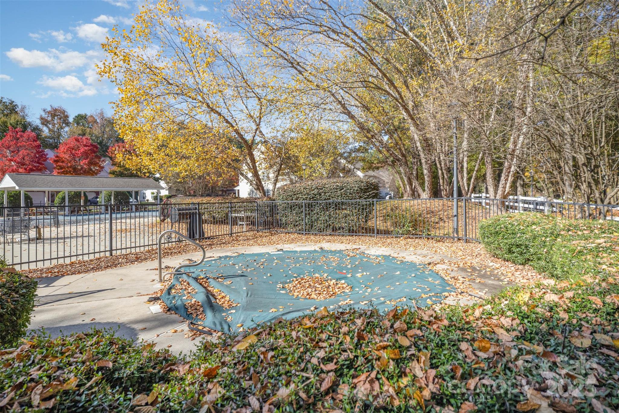 8230 Rudolph Road Charlotte, NC 28216 - Photo 37 of 38 a view of a yard with plants and trees