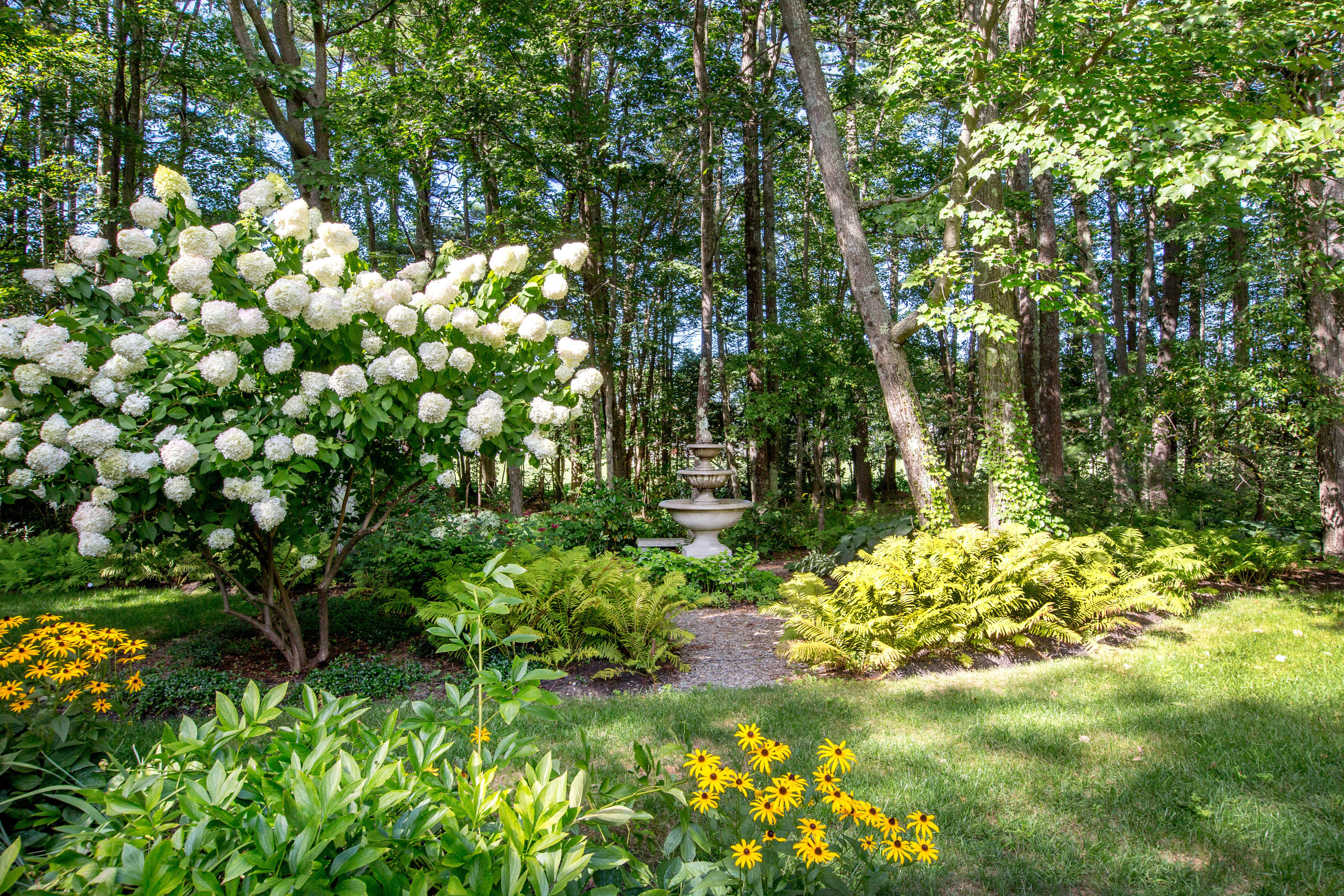 33 Meadowbrook Road Brunswick, ME 04011 - Photo 69 of 86 Meadowbrook_Domingos_72