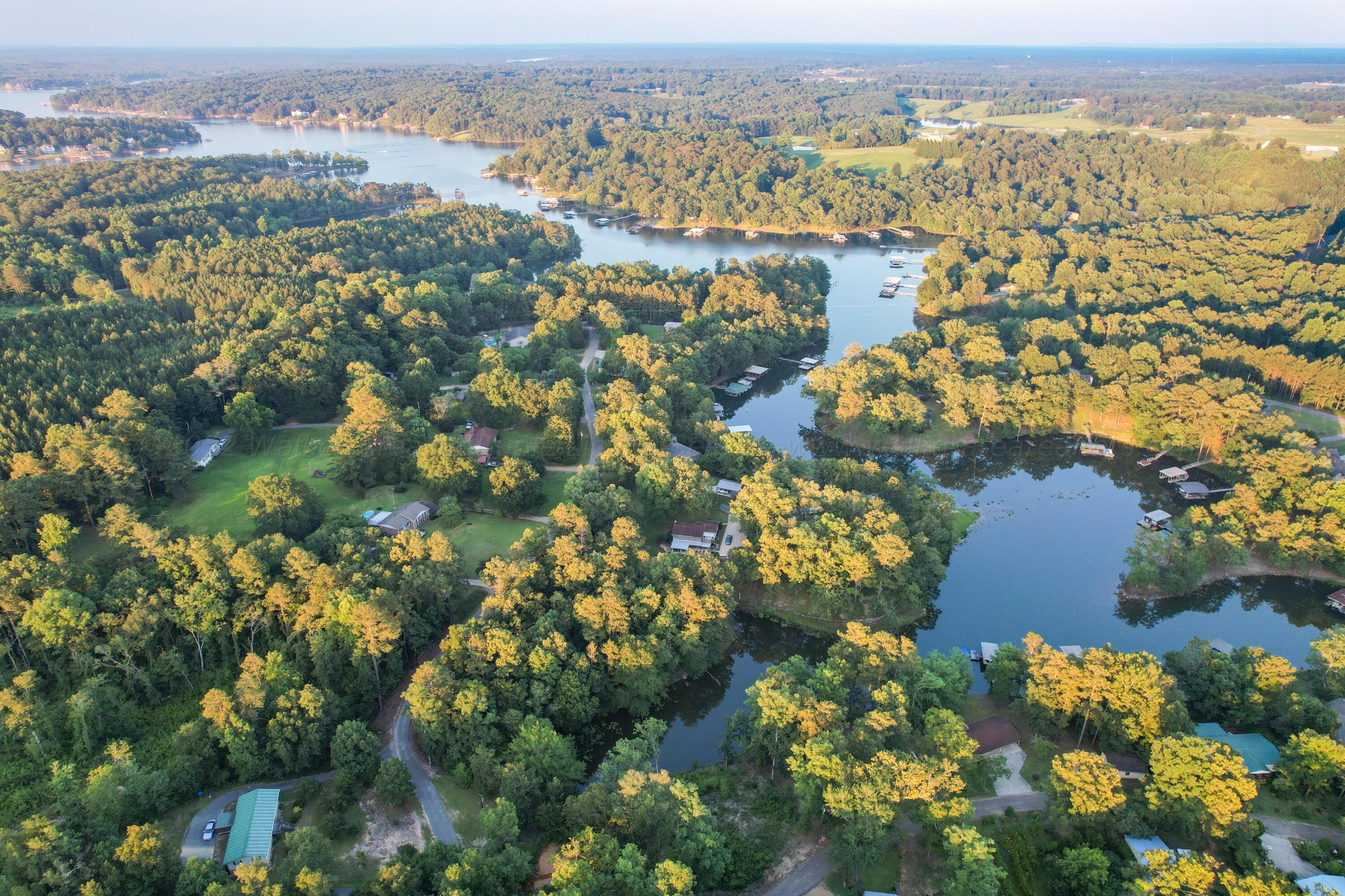 Lot 2 Pinedale Shores Road Jasper, AL 35503 - Photo 20 of 24 Gallery Image 20