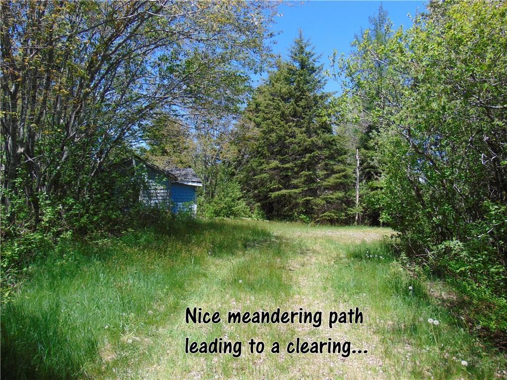 160 Wescogus Road Addison, ME 04606 - Photo 6 of 17 Photo