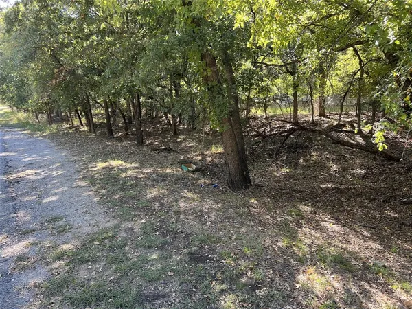 a view of a forest with trees