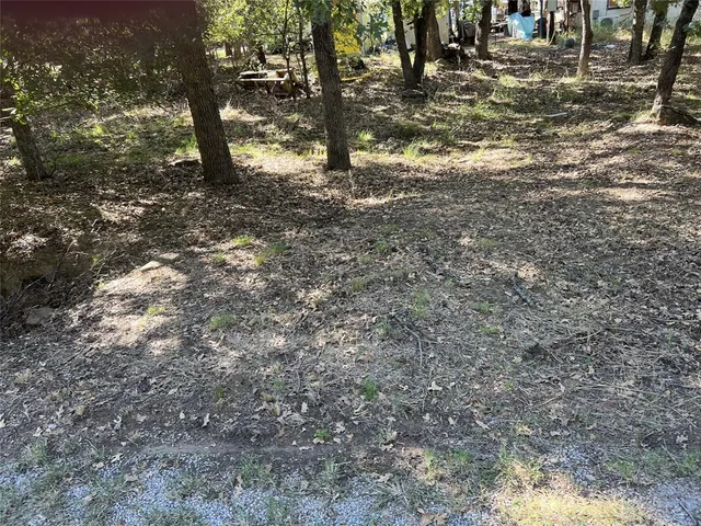 a view of a forest with trees in the background