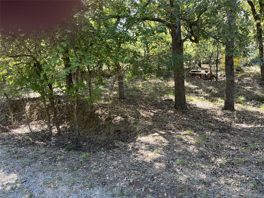 366 Timberdell Drive May, TX 76857 - Photo 4 of 5