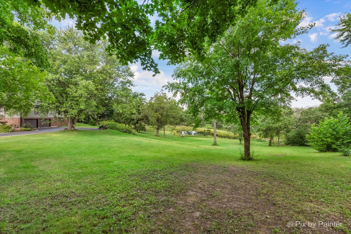 6111 Ridgeview Drive Huntley, IL 60142 - Photo 23 of 54 a view of a yard with a tree