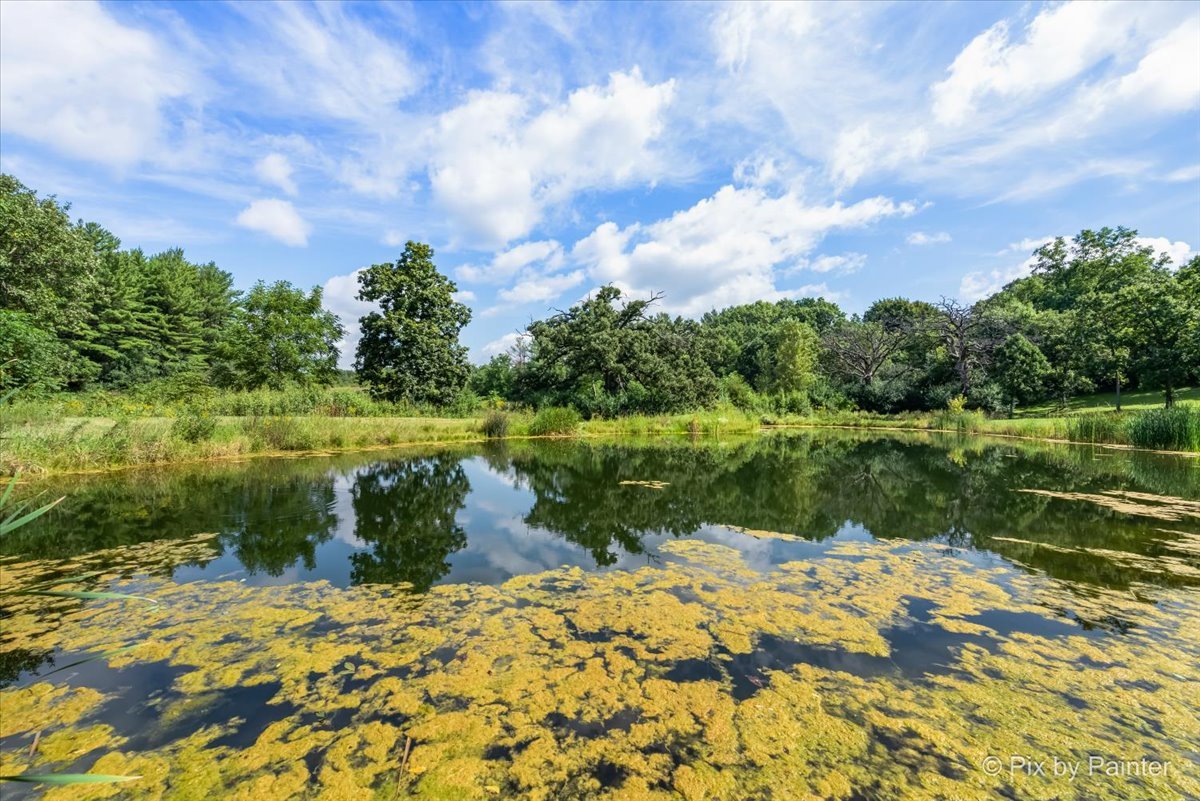 6111 Ridgeview Drive Huntley, IL 60142 - Photo 26 of 54 a view of a lake with a big yard