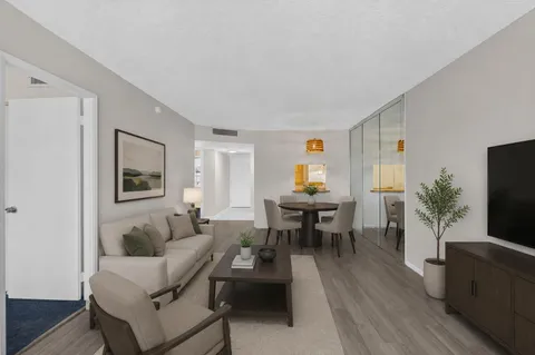 a living room with furniture a flat screen tv and a potted plant