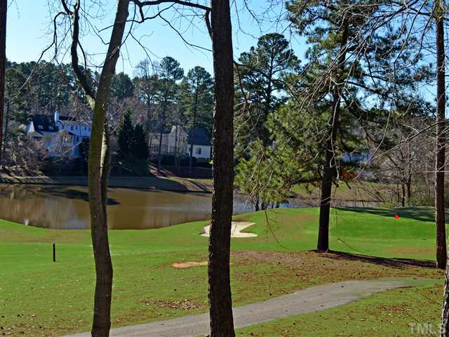 10013 Goodview Court Raleigh, NC 27613 - Photo 2 of 24 Deck View
