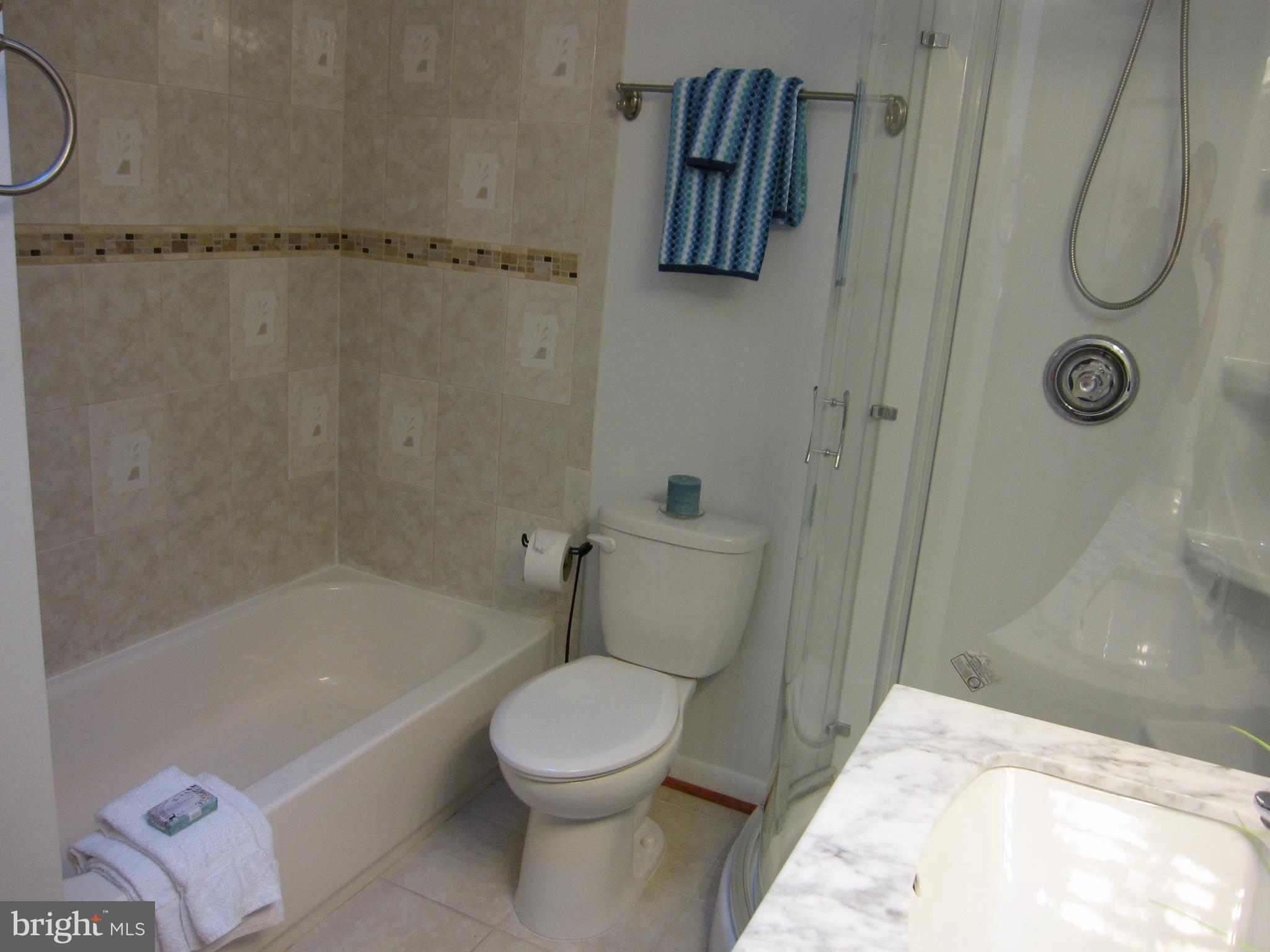 2104 Lirio Court Reston, VA 20191 - Photo 21 of 30 Bath (Master)