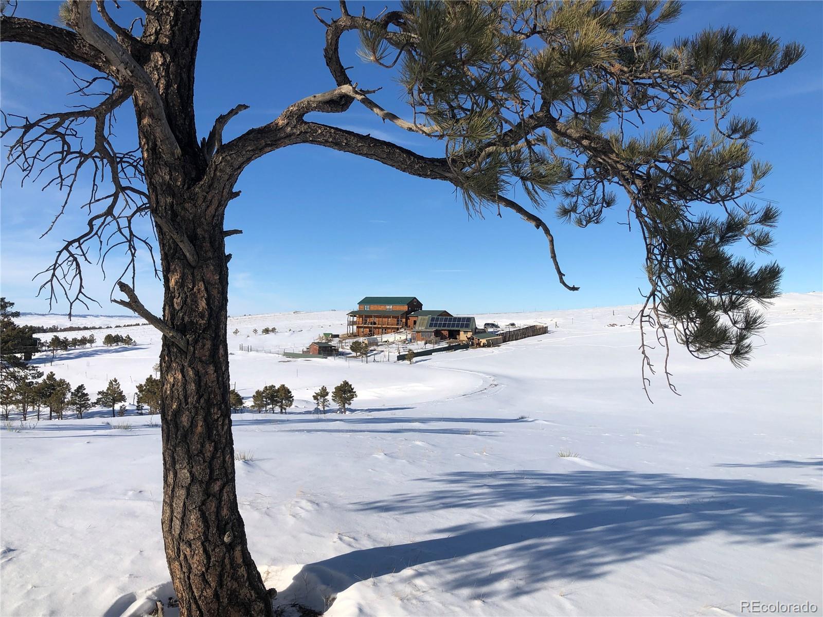 31885 Ridge Road Ramah, CO 80832 - Photo 43 of 47 a view of a tree with a tree