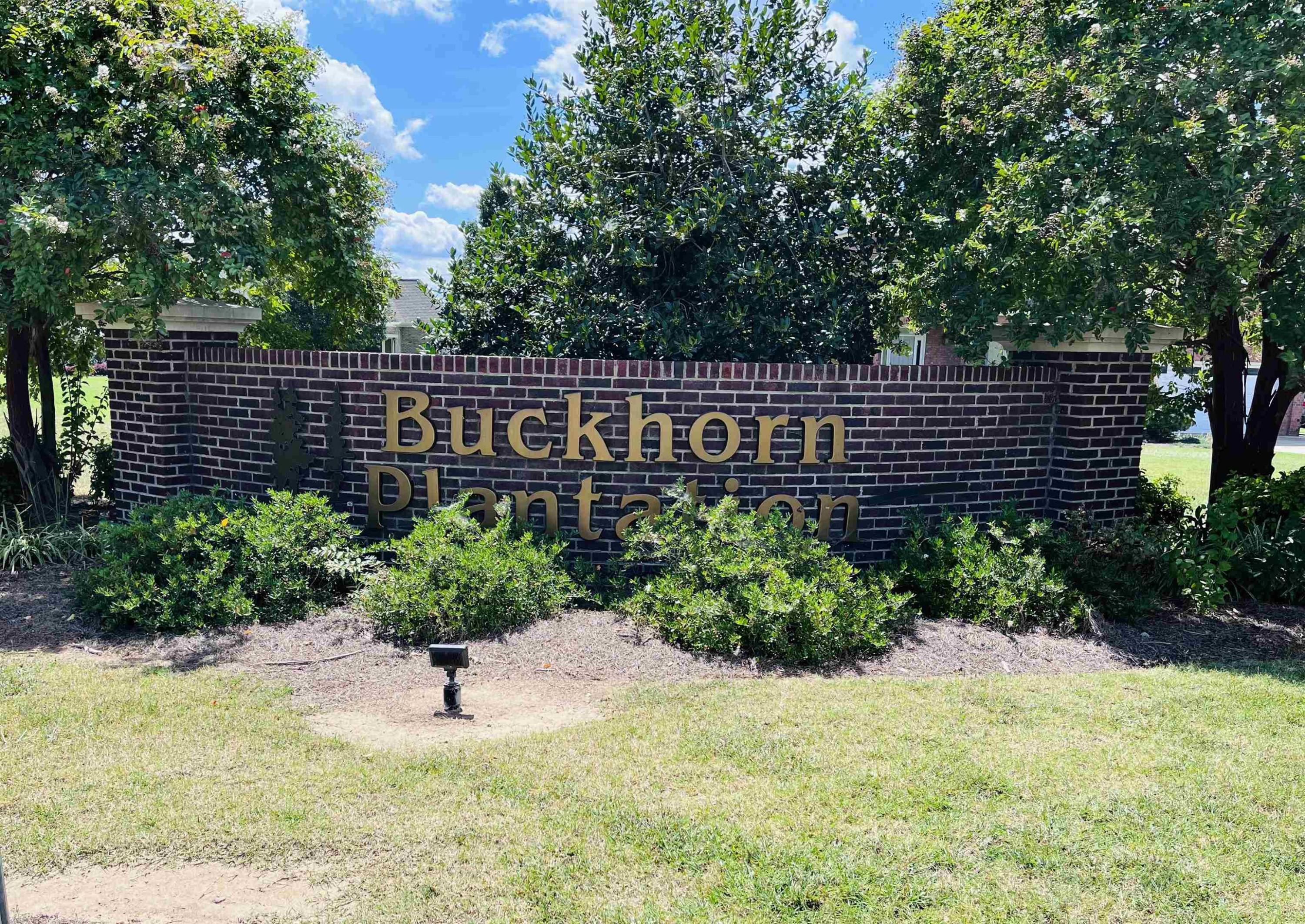 8677 Buckhorn Plantation Road Sims, NC 27880 - Photo 16 of 17 Photo 16
