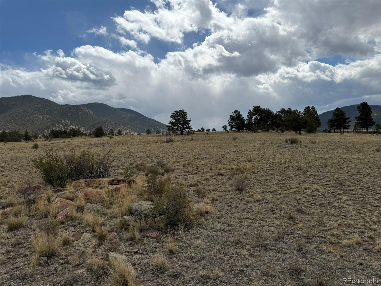 42 Turner Gulch Road Lake George, CO 80827 - Photo 23 of 23 a view of lake