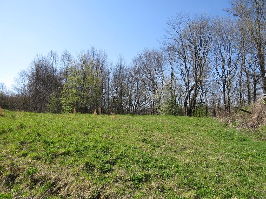 5864 Stinson Ridge, Unit 24038 Jewell Ridge, VA 24622 - Photo 4 of 5 Gallery Image 4