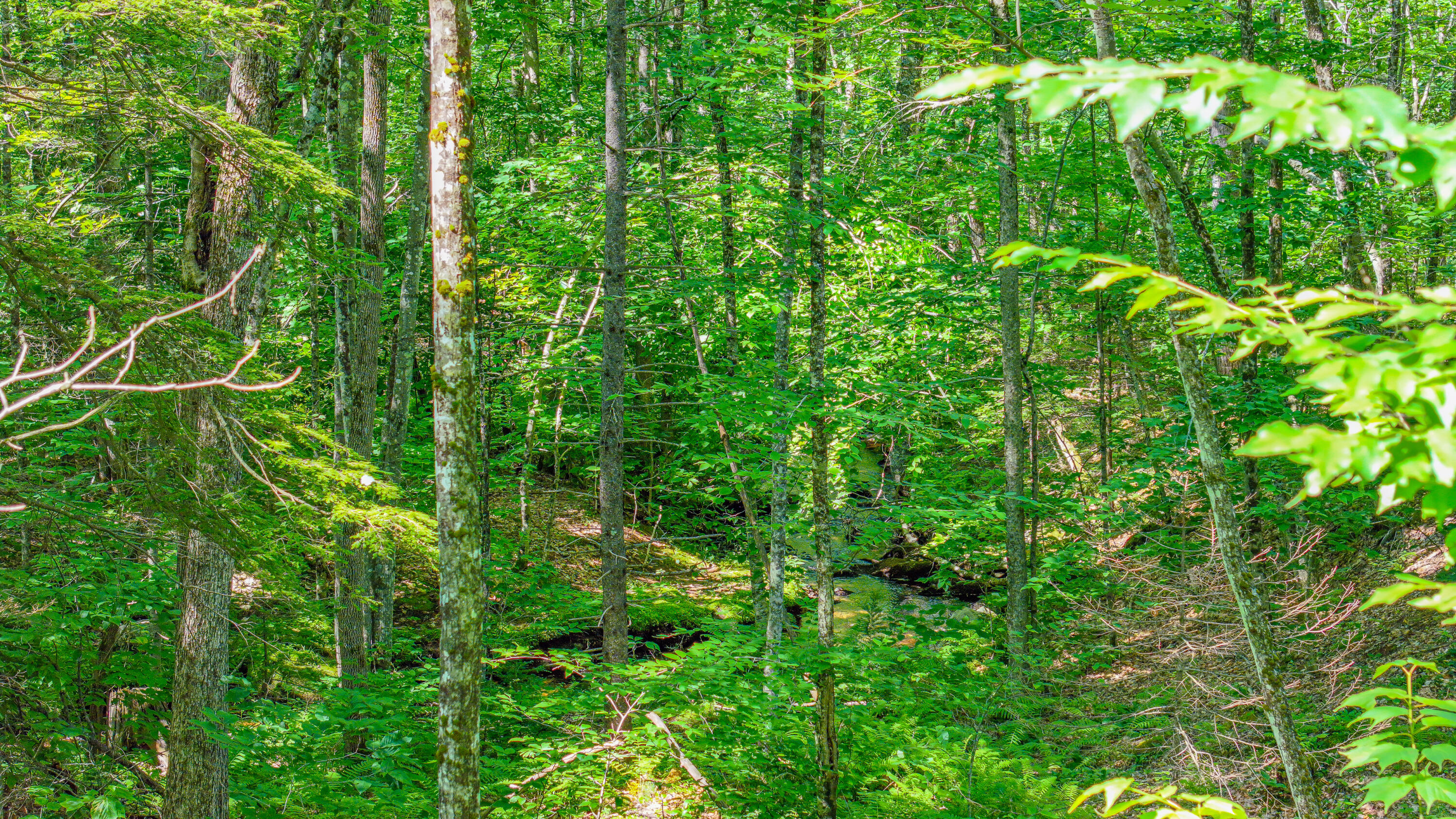 21 Bradley Pond Road Lovell, ME 04051 - Photo 21 of 64 bradley pond road-37
