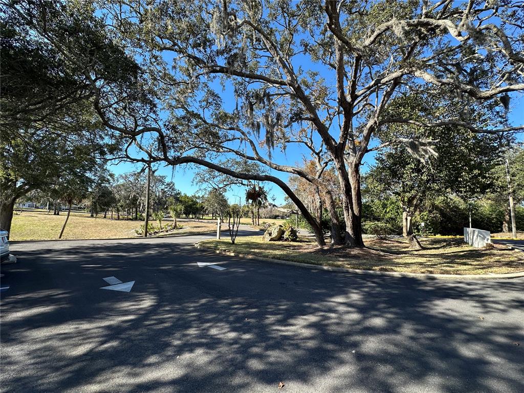 8205 Valley Stream Lane Hudson, FL 34667 - Photo 50 of 55