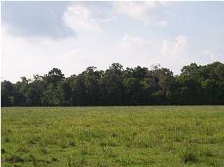 Gulf States Road Rayne, LA 70578 - Photo 1 of 3 Gallery Image 1
