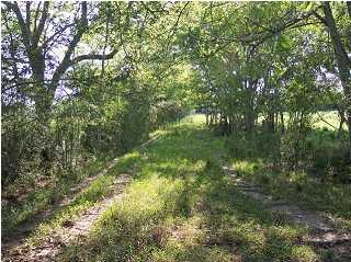 Gulf States Road Rayne, LA 70578 - Photo 3 of 3 Gallery Image 3