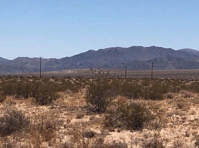 138 Amboy Road Twentynine Palms, CA 92277 - Photo 22 of 26 a view of a forest with mountains in the background