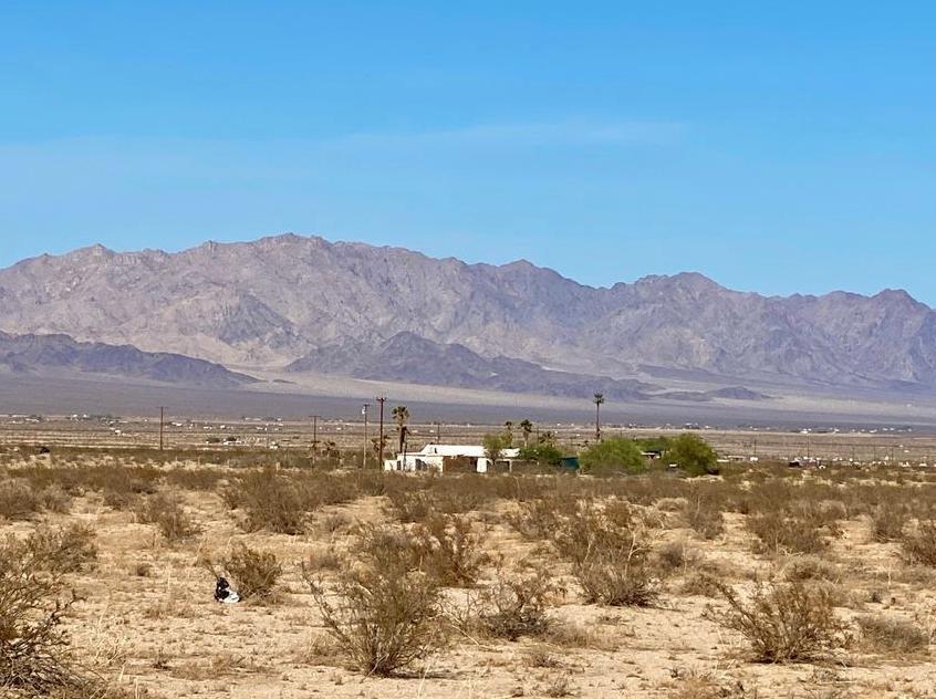 138 Amboy Road Twentynine Palms, CA 92277 - Photo 10 of 26