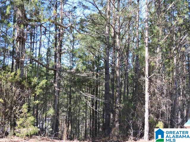 Meadowlane Drive Wedowee, AL 36278 - Photo 3 of 5
