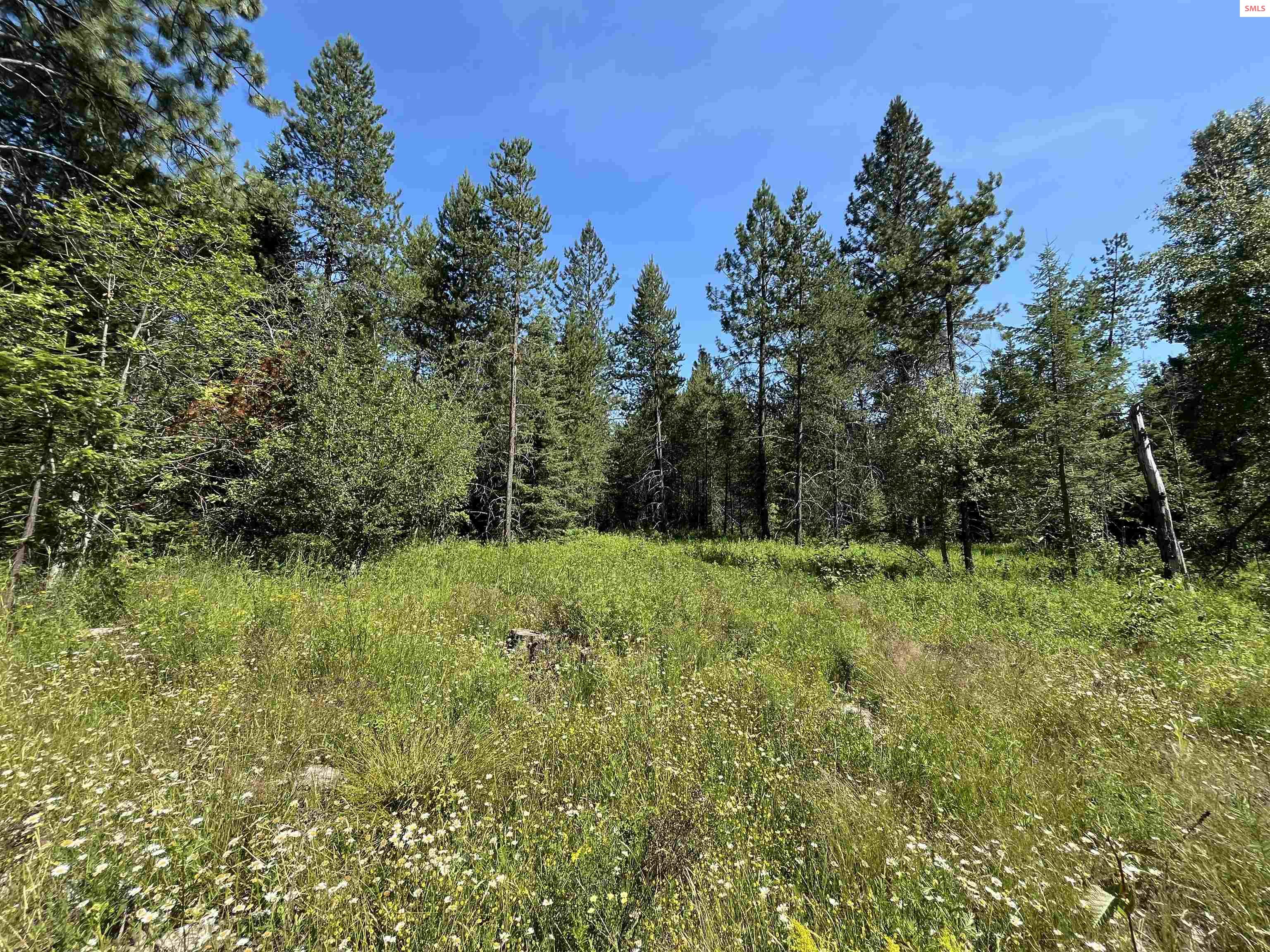 12726 North Boyer Road Sandpoint, ID 83864 - Photo 10 of 33