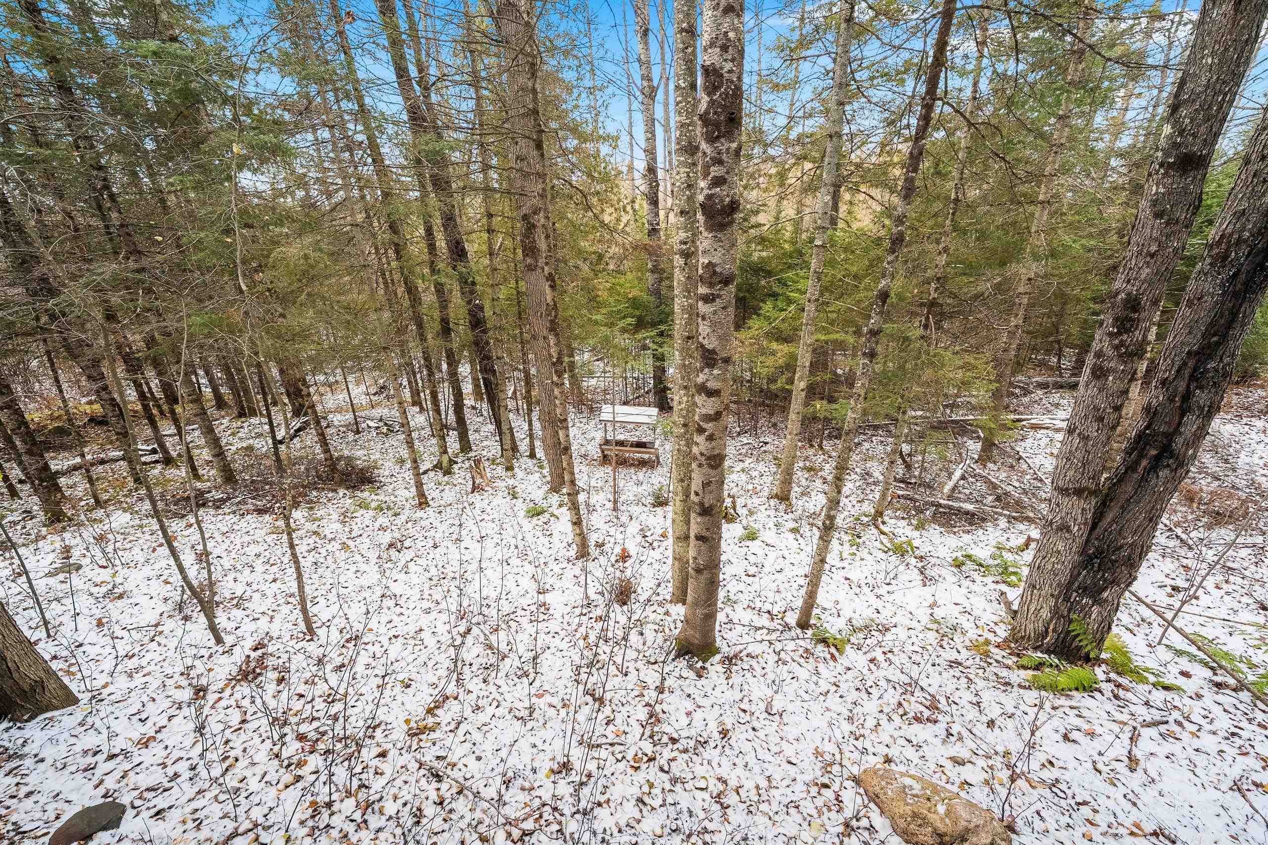 128 Big Bear Road Iron River, MI 49935 - Photo 20 of 43