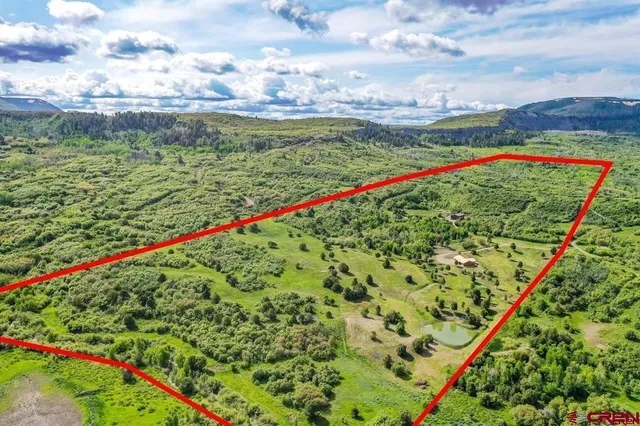 a view of a lush green field