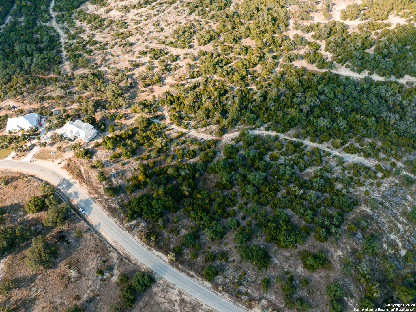 Lot 12 Canyon Rim Helotes, TX 78023 - Photo 15 of 18 a view of a forest with plants and large trees
