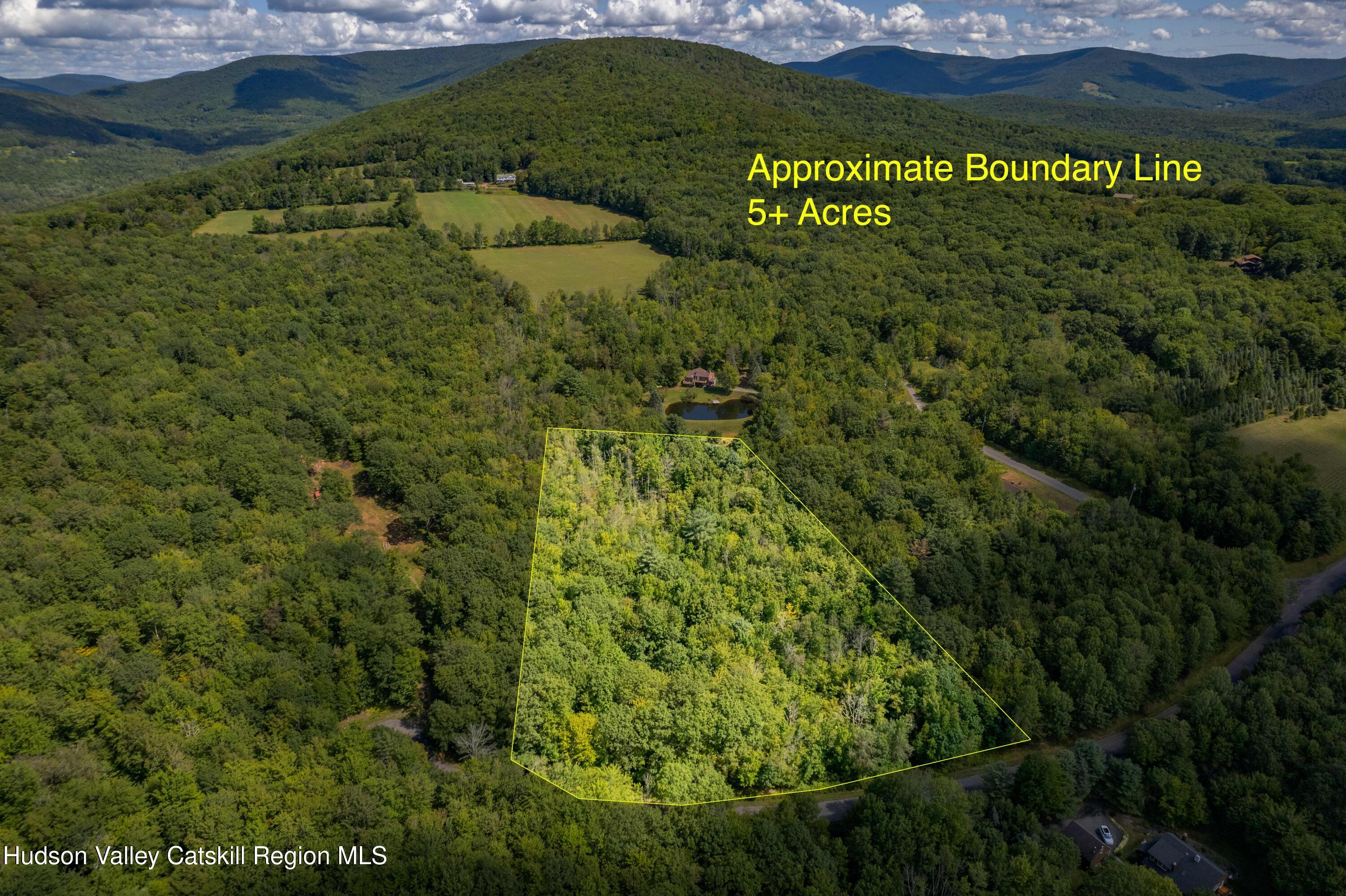 0 Joe Todd Road Fleischmanns, NY 12430 - Photo 1 of 18