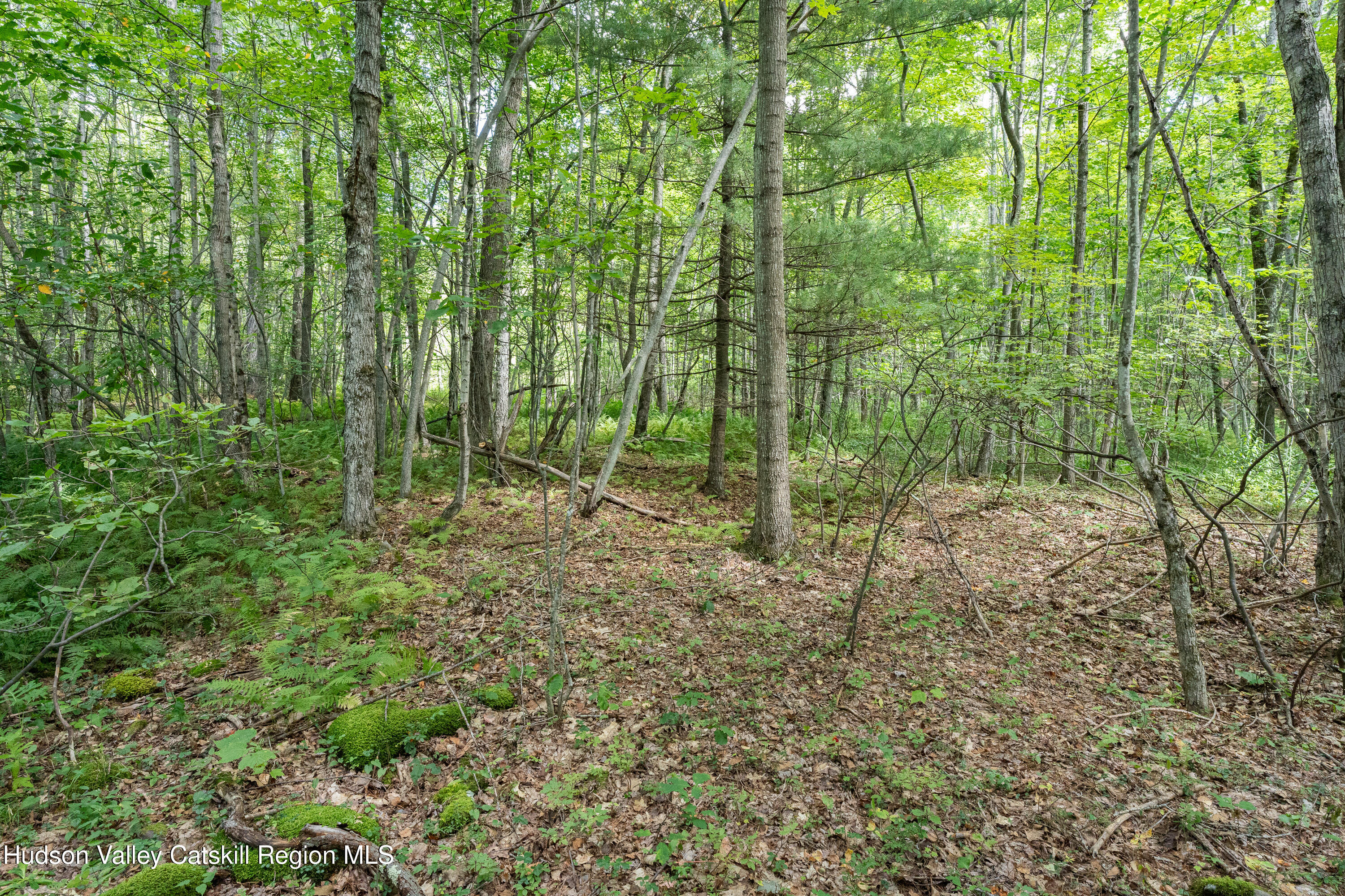 0 Joe Todd Road Fleischmanns, NY 12430 - Photo 11 of 18 a view of outdoor space and green space