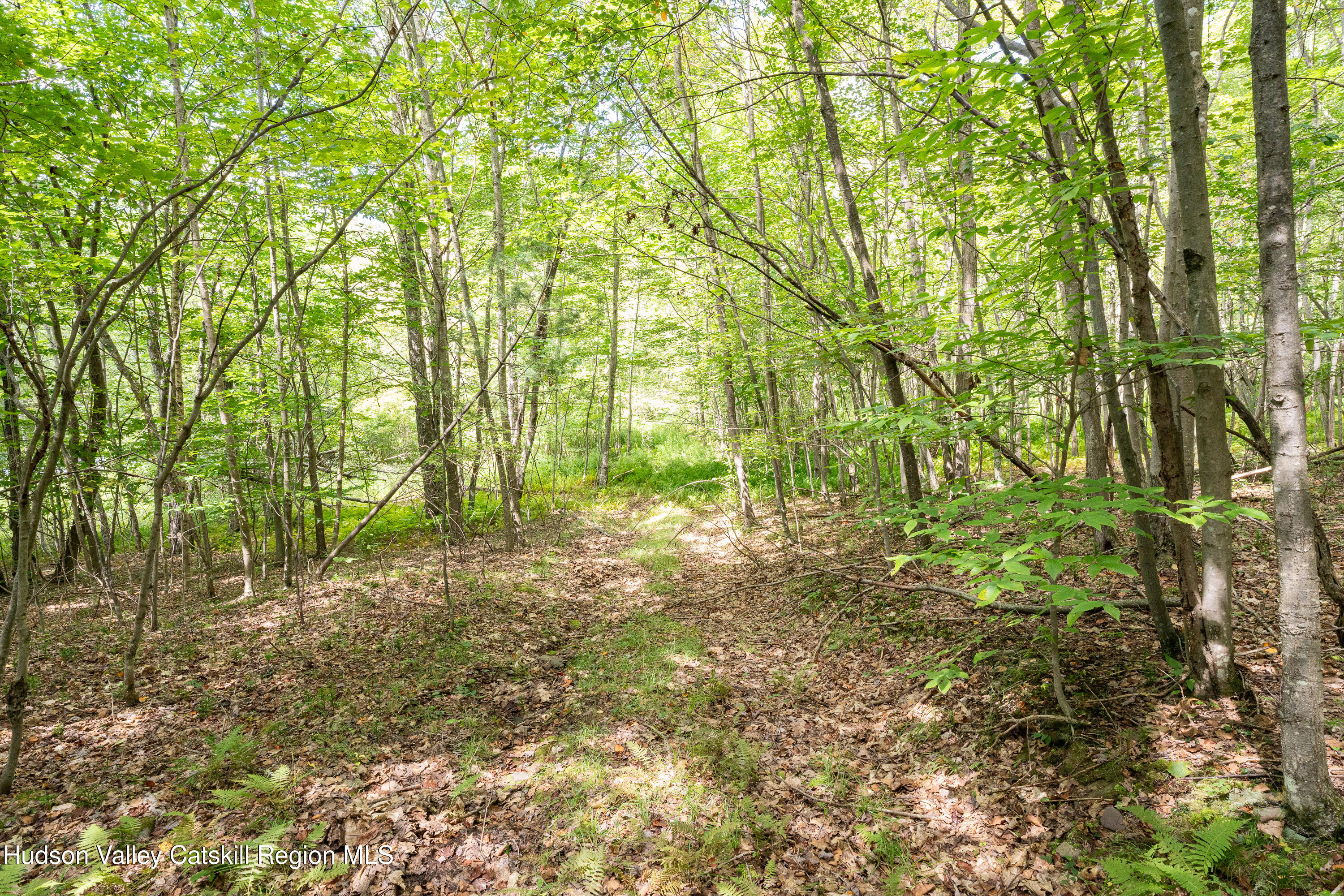 0 Joe Todd Road Fleischmanns, NY 12430 - Photo 3 of 18 a view of outdoor space and trees