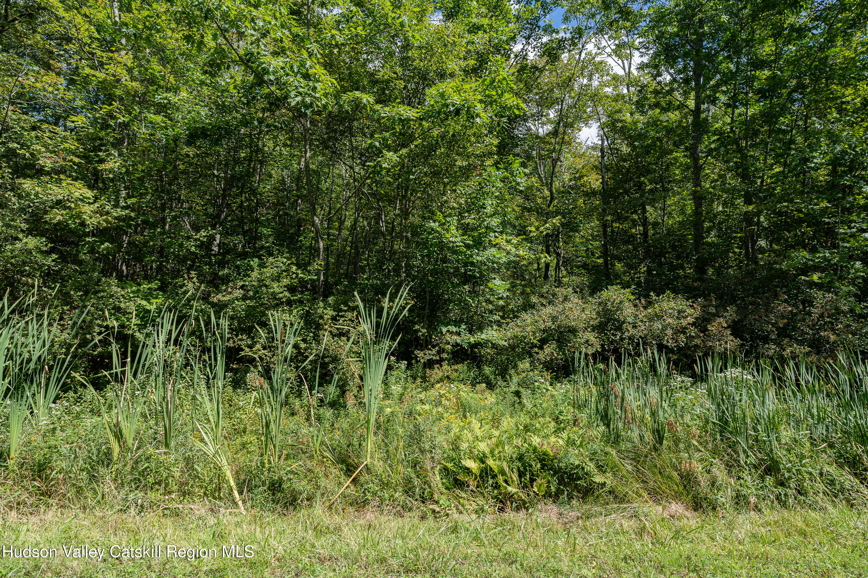 0 Joe Todd Road Fleischmanns, NY 12430 - Photo 7 of 18 a view of a lush green forest