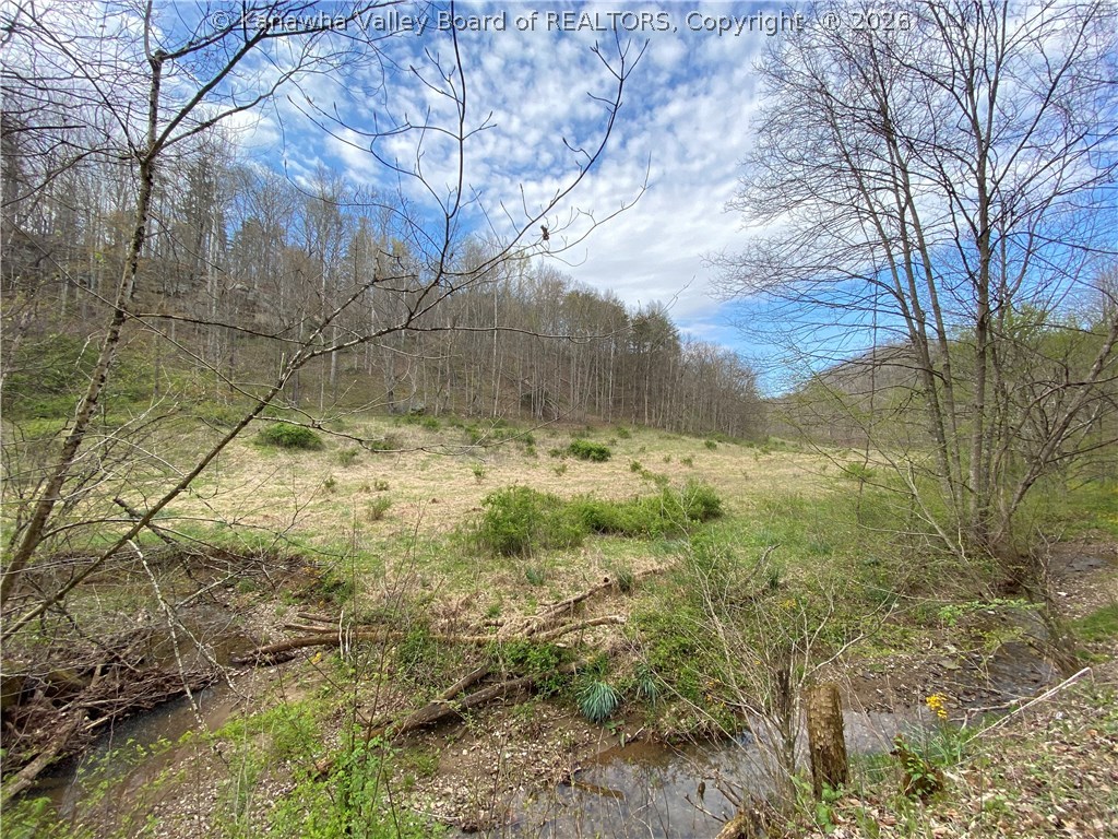 0 2nd Creek Road Kenna, WV 25248 - Photo 4 of 47 Gallery Image 4