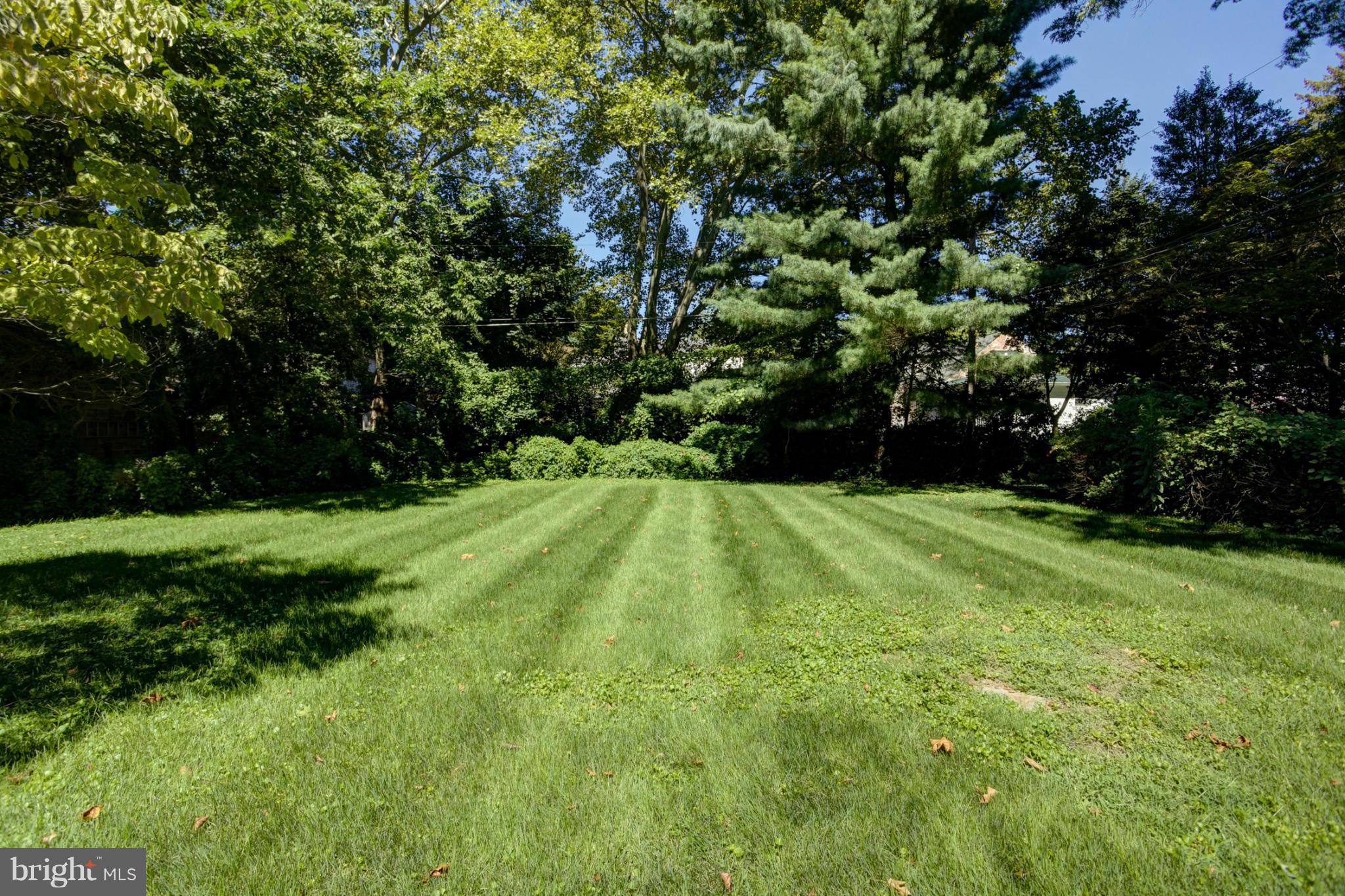 8 Aintree Road Towson, MD 21286 - Photo 4 of 27 a view of yard with green space
