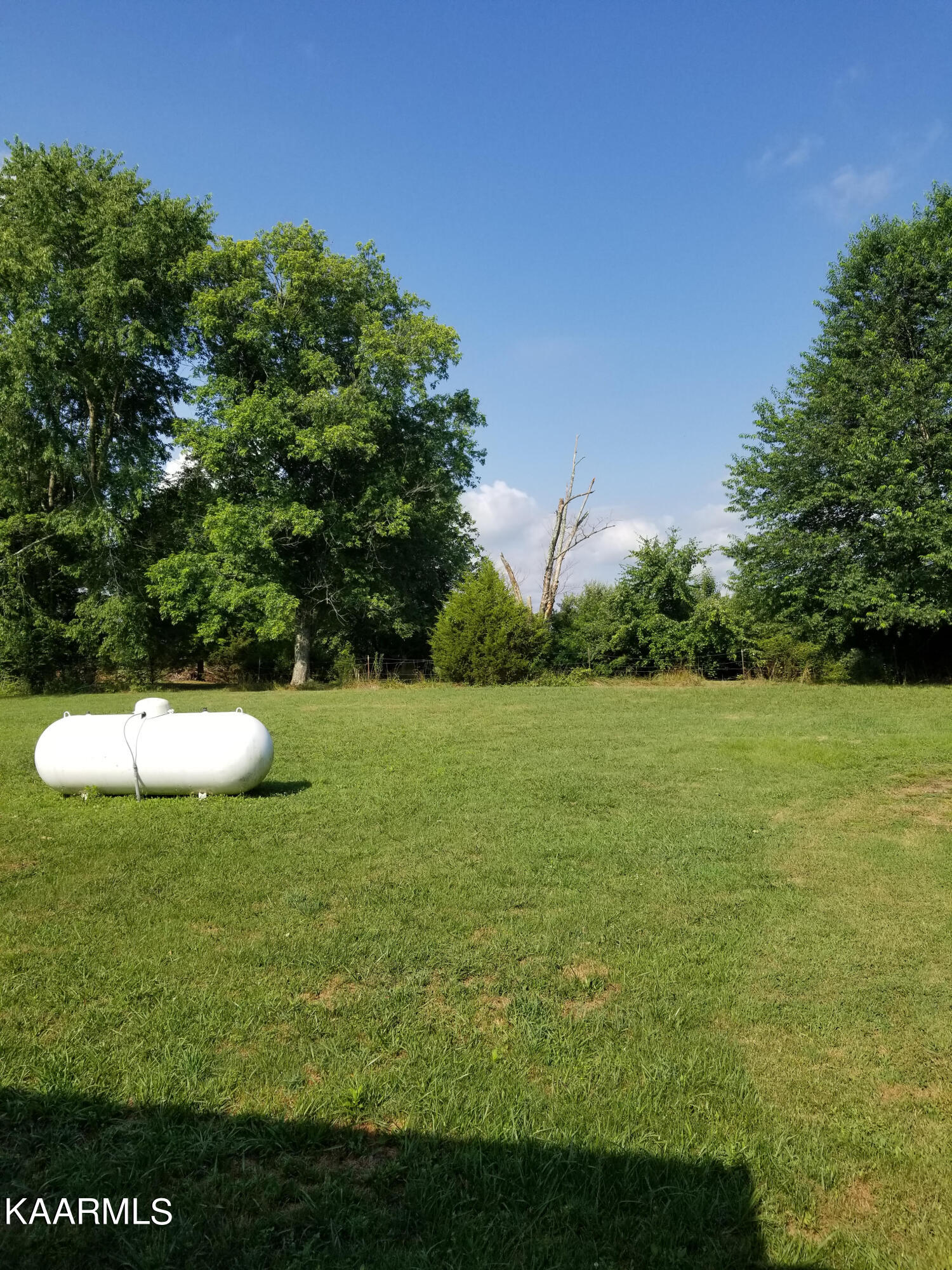 631 Island Ford Road Lancing, TN 37770 - Photo 14 of 15 7