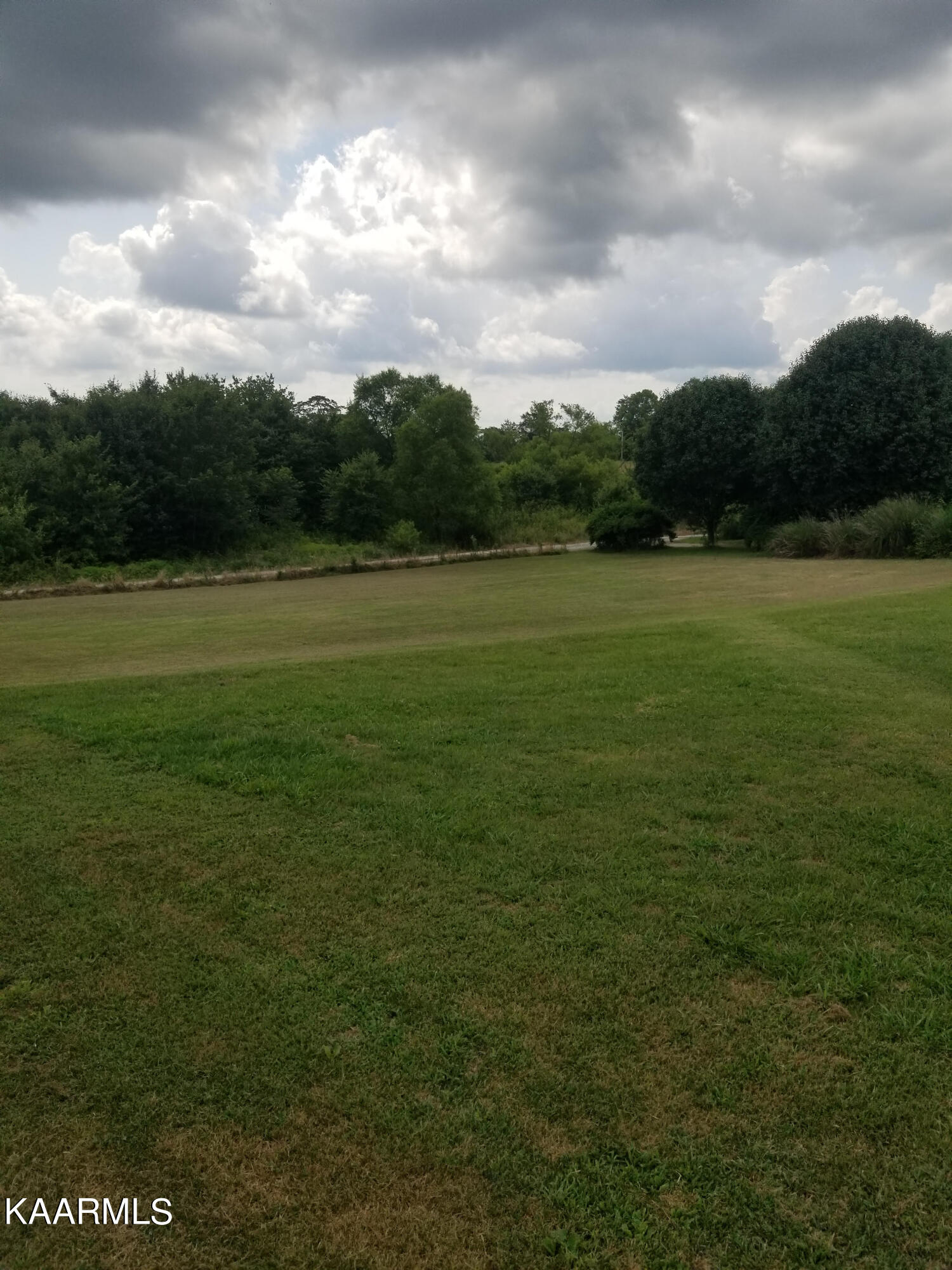 631 Island Ford Road Lancing, TN 37770 - Photo 3 of 15 1