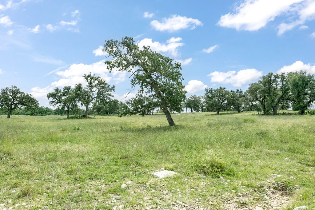 4 Inspiration Loop Fredericksburg, TX 78624 - Photo 3 of 14 a view of yard with green space