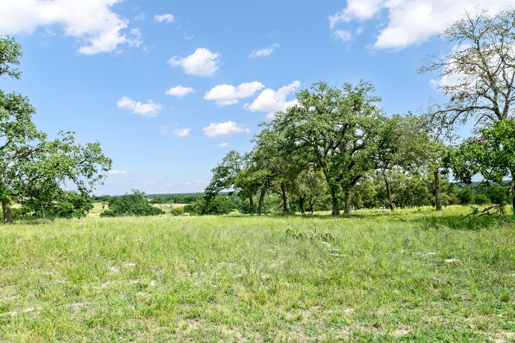4 Inspiration Loop Fredericksburg, TX 78624 - Photo 5 of 14 a view of a field with a tree in the background