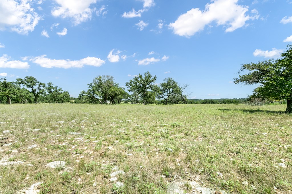 4 Inspiration Loop Fredericksburg, TX 78624 - Photo 6 of 14 a view of yard with green space