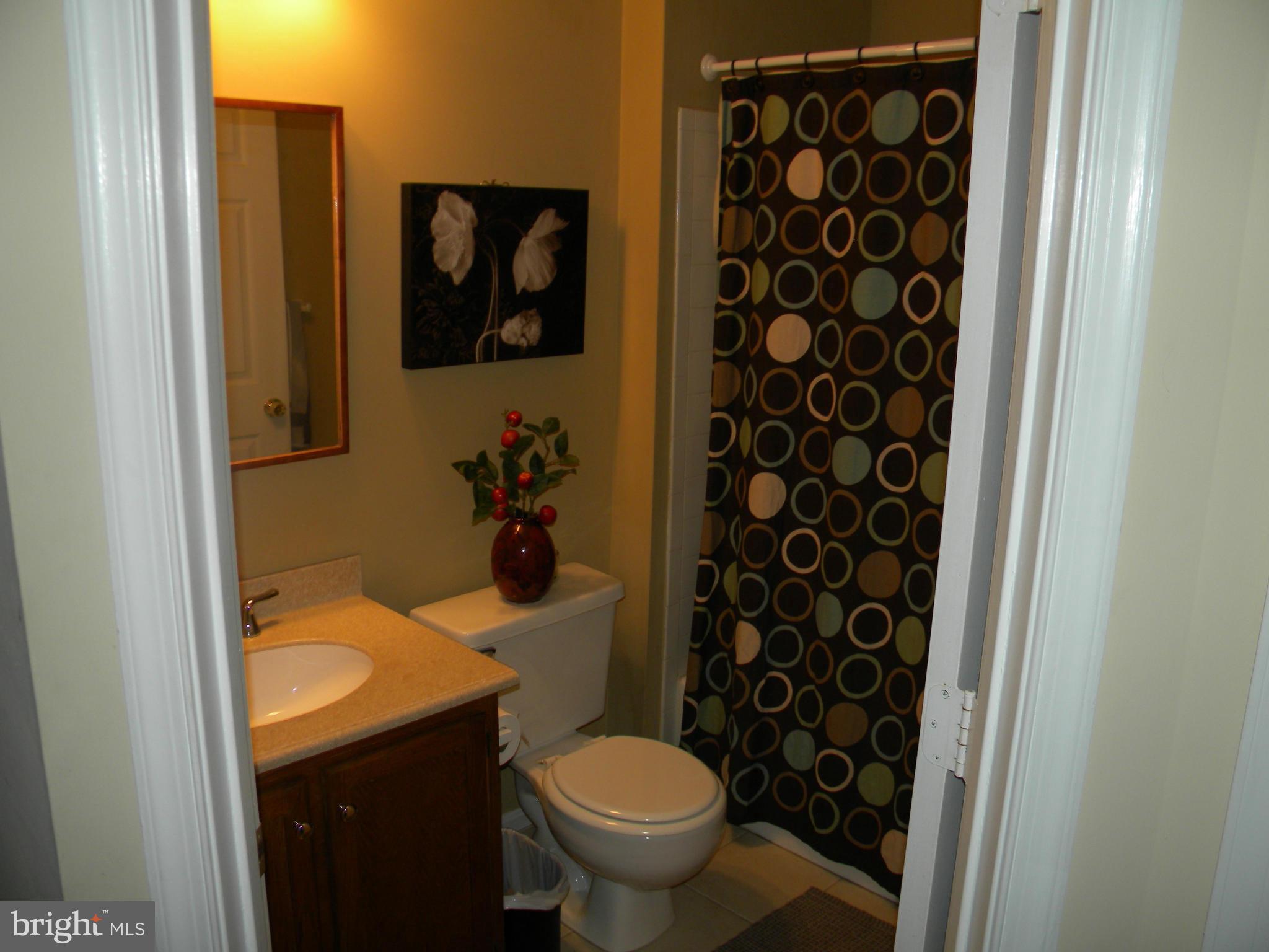 4458 Silver Teal Road Baltimore, MD 21236 - Photo 15 of 17 Bath