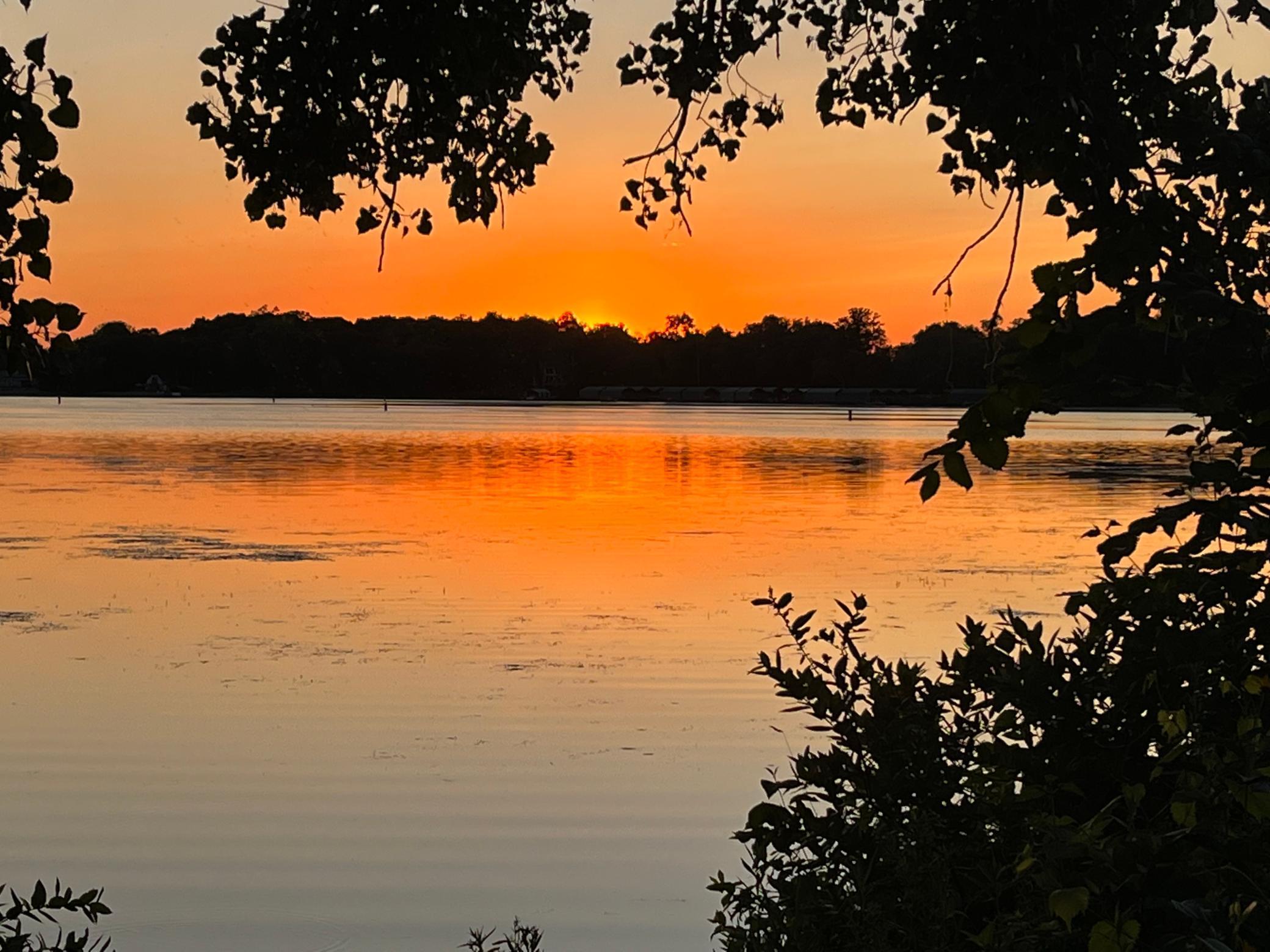 2634 Crosby Road Wayzata, MN 55391 - Photo 103 of 103