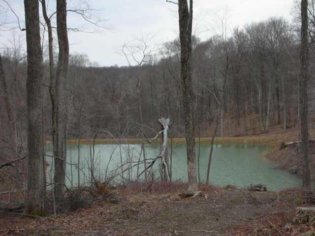 9783 Hassetown Road Morgantown, IN 46160 - Photo 1 of 5 Gallery Image 1