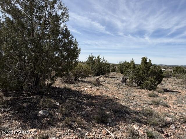 363- Via Dolorosa Road Seligman, AZ 86337 - Photo 6 of 10 IMG_1080