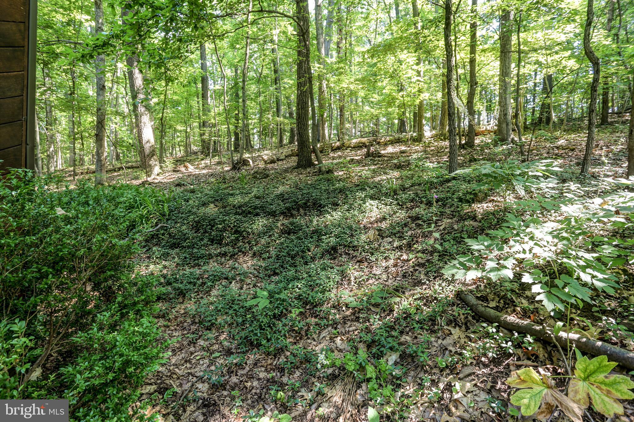 2441 Deep Hollow Road Dover, PA 17315 - Photo 25 of 27